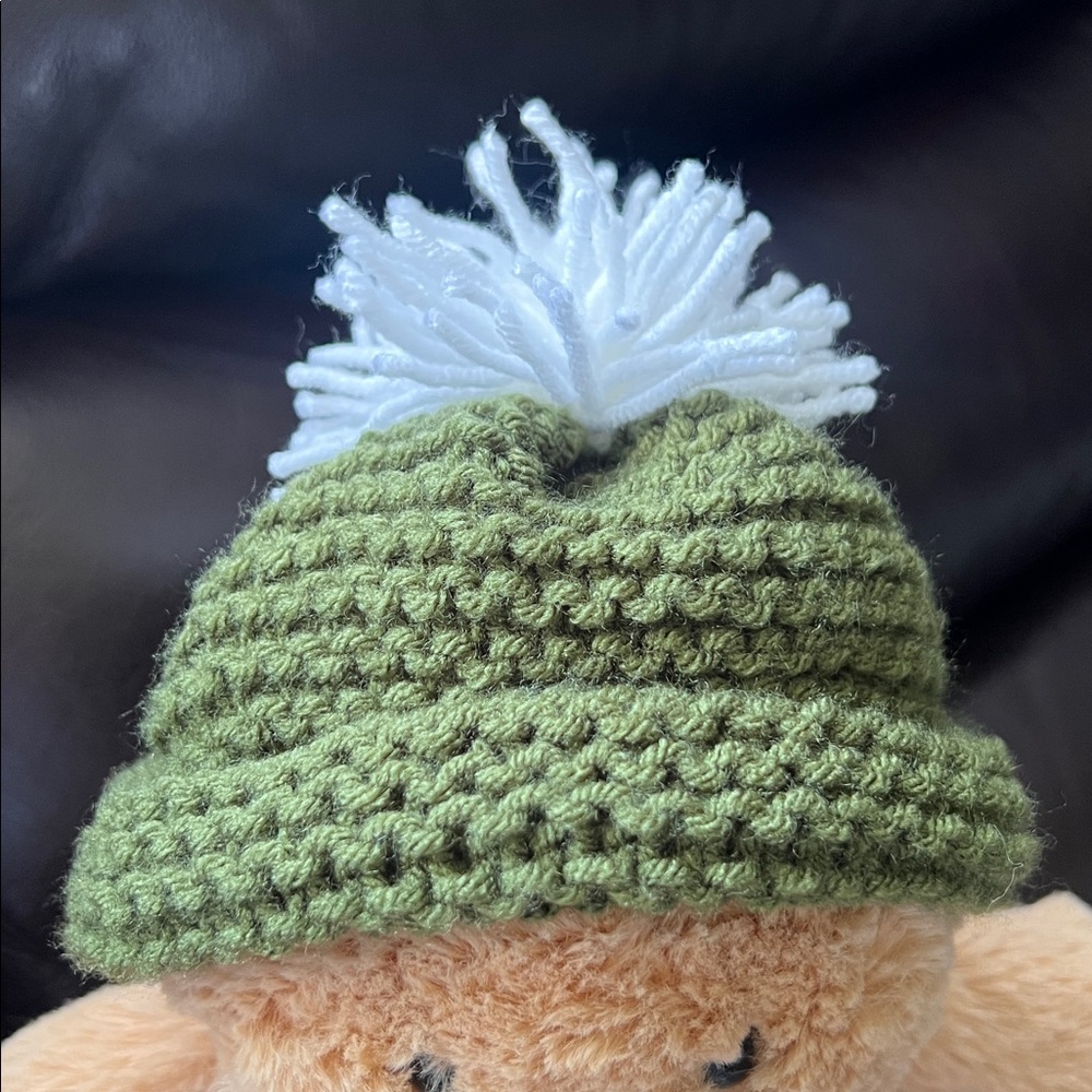 Green hand Knit Beanie with White Pom Pom
